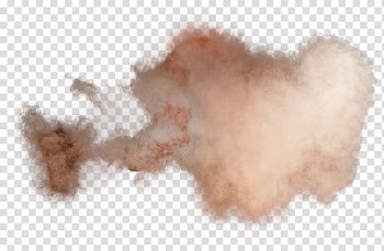 Fog , Toy Poodle Miniature Poodle Dust Smoke, Smoke filled powder transparent background PNG clipart