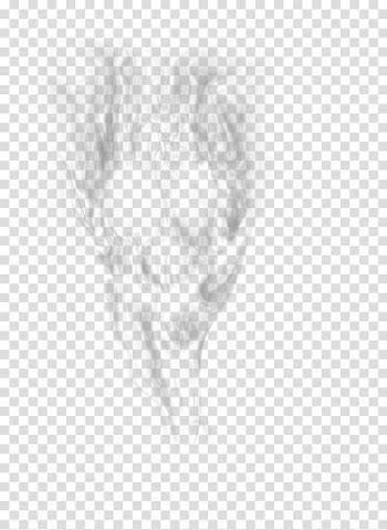Fog transparent background PNG clipart