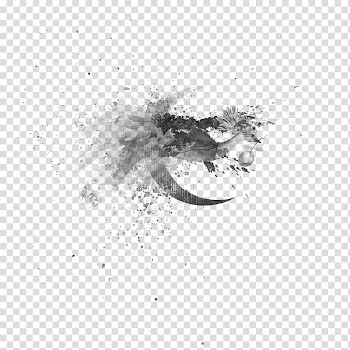 Foggia Anime Midreshet Emunah v'Omanut Singing Hardwerk Fogeltje, smoke transparent background PNG clipart