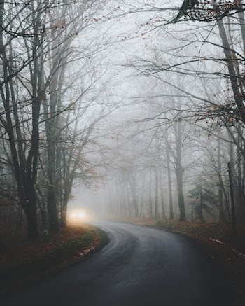 Foggy Asphalt Road