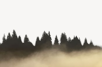 Foggy forest border collage element, | Free PSD - rawpixel