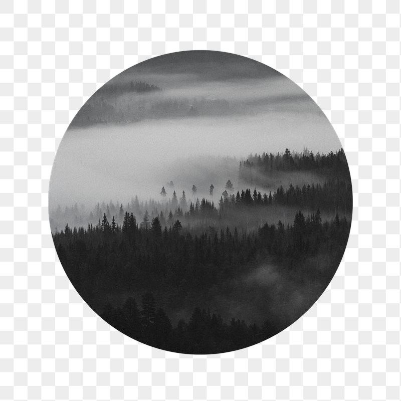 Foggy forest png badge sticker, | Free PNG - rawpixel