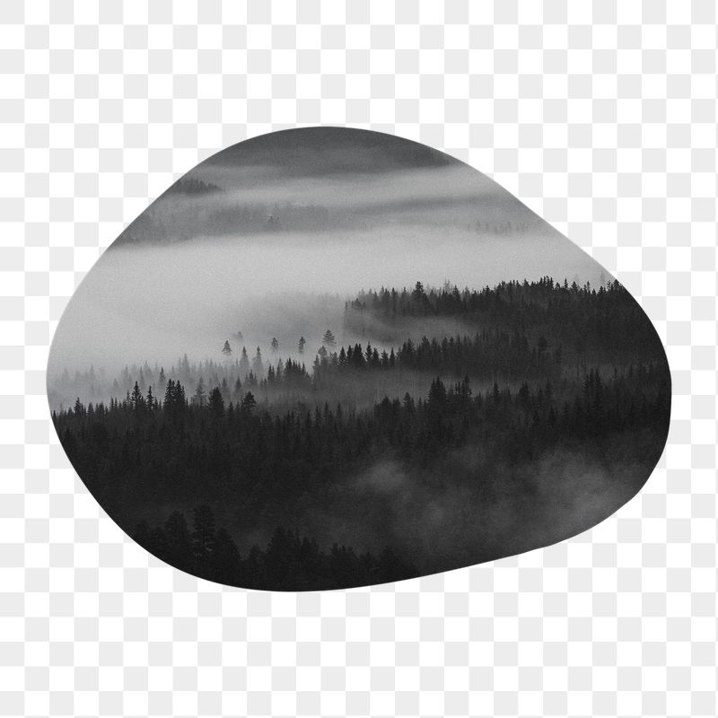Foggy forest png badge sticker, | Free PNG - rawpixel