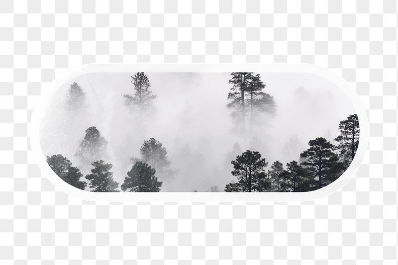 Foggy forest png in black | Free PNG - rawpixel