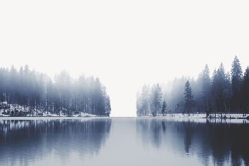 Foggy lake border, pine forest | Free PSD - rawpixel
