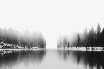 Foggy lake border, pine forest | Free PSD - rawpixel