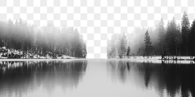 Foggy lake png border, pine | Free PNG - rawpixel