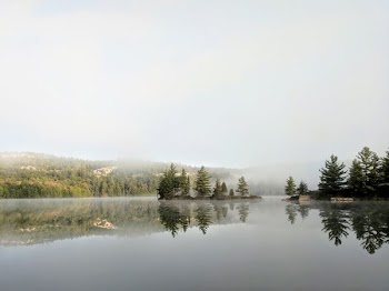 Foggy Landscape Reflected In Lake