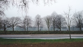 Foggy London Park