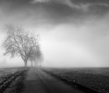Foggy mornings in Seattle provide the perfect atmosphere...