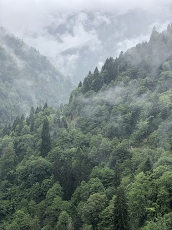 Foggy Mountain