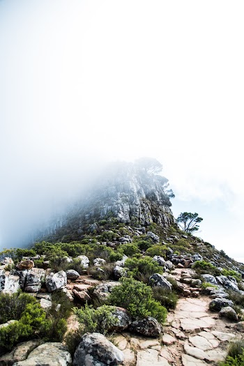 Foggy Mountain