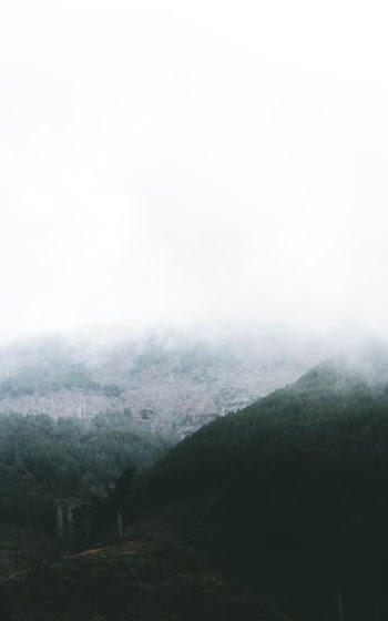 foggy mountain