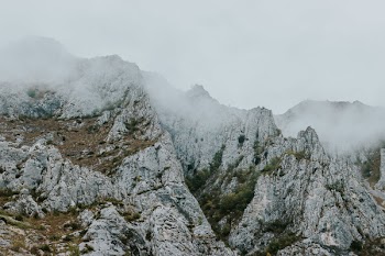 Foggy Mountain