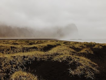 Foggy Mountain