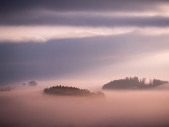 foggy mountain