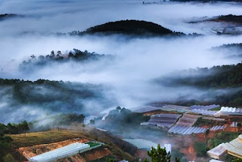Foggy Mountain Scenery