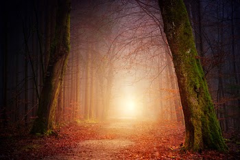 Foggy Path