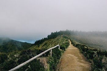 Foggy Pathway 