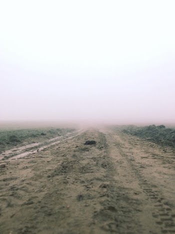 Foggy Road