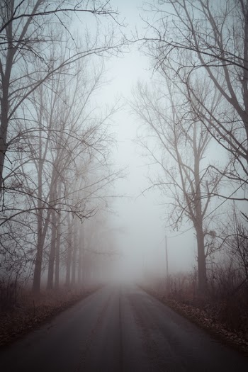 Foggy Road