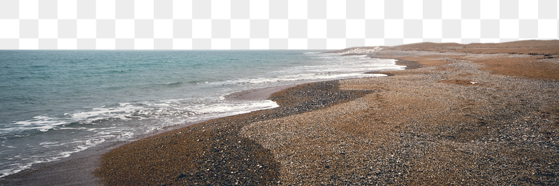 Foggy seashore  png  | Free PNG - rawpixel