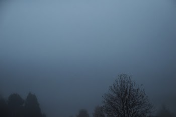 Foggy Weather