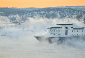Foggy Winter Morning