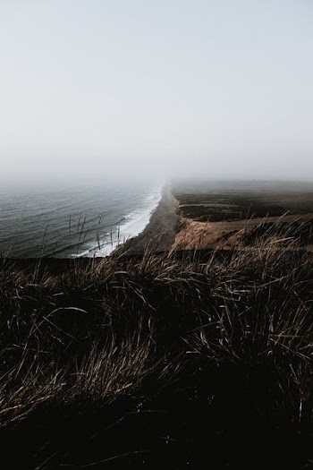 fogs over cliff