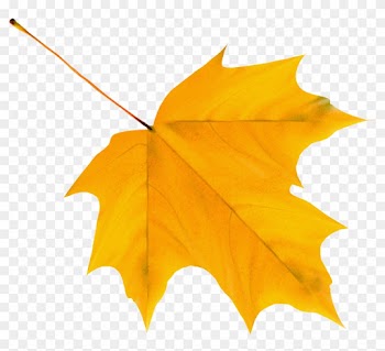 Foliage Clipart Yellow Leaf - Yellow Autumn Leaf Png