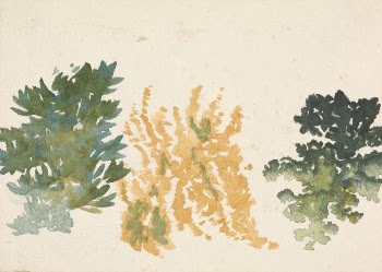 Foliage | Free Photo - rawpixel