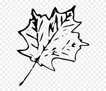 Foliage Maple, Fall, Leaf, Foliage - Black And White Leaf Transparent