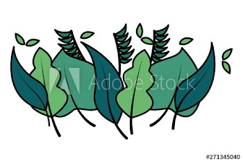 foliage nature border leaves white background