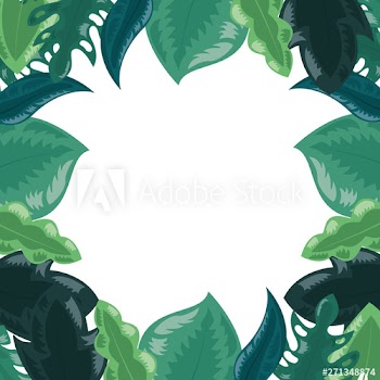 foliage nature border leaves white background