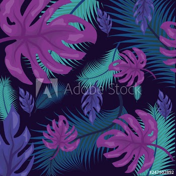 foliage nature leaves