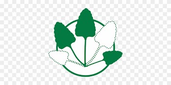 Foliar Diseases Reduce Leaf Retention - Foliar Diseases Reduce Leaf Retention
