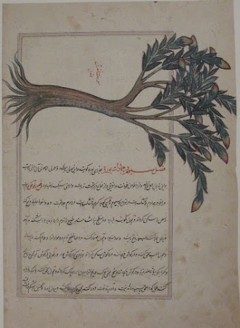 Folio from a Bestiary and | Free Photo - rawpixel