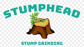Follow - Tree Stump