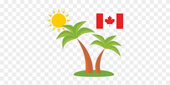 Follow Us - Palm Trees