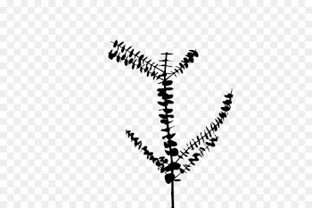 Font Line Leaf -  