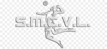 Font Logo Silver Product design Brand - men volleyball serve 
