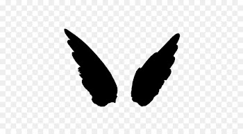 Font M. Butterfly Black M -  