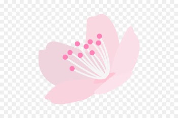 Font Pink M H&M Heart -  