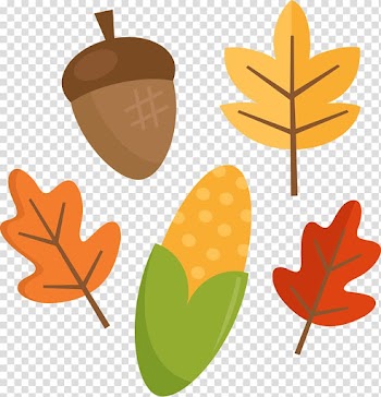 Food Bear Pumpkin , autumn leaves transparent background PNG clipart