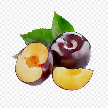 Food Beslenme Boolean data type Nutrition Fruit -  