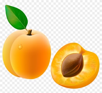 Food Clipartclip - Clip Art Apricot