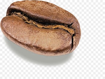 food cuisine dish ingredient