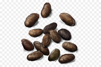 Food Cuisine Ingredient Recipe Instagram - pine nuts 