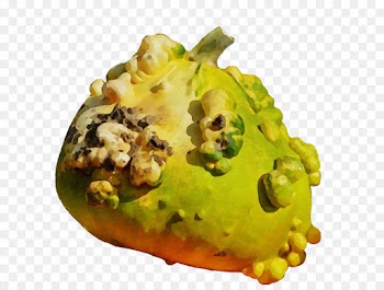food dish cuisine plant horned melon