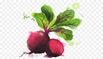 Food Drawing Idea Vegetable Illustration - Water color carrot 